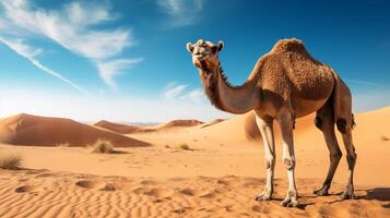 AI generated camel high quality image photo