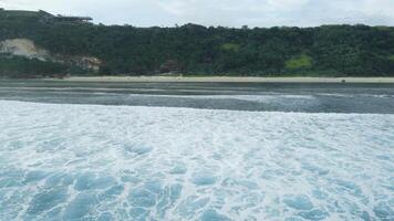 costa con verde scogliere e blu oceano con onde e surfer nel bali. aereo Visualizza video