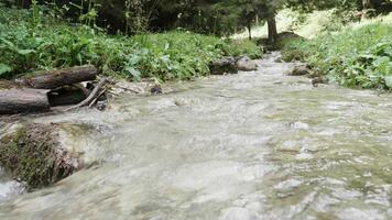 montanha rio dentro verão dia. floresta e natureza video