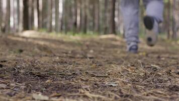 Running shoes while jogging, sports, training or workout. Male trail runner running in the forest on a trail.Close-up on running shoes. Summer season video