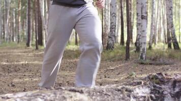 Masculin coureur fonctionnement le long de une la nature Piste par le les bois. athlète fonctionnement par le les bois. pieds, bas voir. athlète sauts plus de une mensonge arbre video