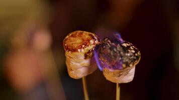Close up of delicious marshmallow on sticks roasting. Cold night of autumn. video
