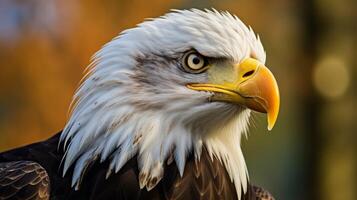 AI generated eagle high quality image photo