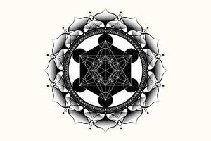 Sacred mandala of Metatrons Cube, Mystical Flower of Life. Sacred geometry, graphic element Vector isolated Illustration. Mystic lotus icon platonic solids, geometric drawing, typical crop circles