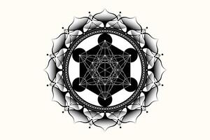 Sacred mandala of Metatrons Cube, Mystical Flower of Life. Sacred geometry, graphic element Vector isolated Illustration. Mystic lotus icon platonic solids, geometric drawing, typical crop circles