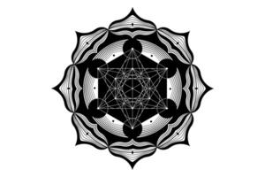 sagrado mandala de metatrones cubo, místico flor de vida. sagrado geometría, gráfico elemento vector aislado ilustración. místico icono platónico sólidos, resumen geométrico dibujo, típico cosecha círculos