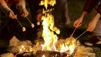 stänga upp av vänner rostning marshmallows på läger brand i en kall natt av höst i de berg. video