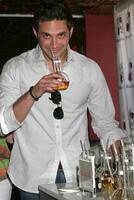 Brandon Barash GBK MTV Movie Awards Gifting Suites  Crimson  Opera Los Angeles,  CA May 30, 2008 photo