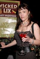 Christine Elise GBK MTV Movie Awards Gifting Suites  Crimson  Opera Los Angeles,  CA May 30, 2008 photo