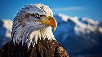 AI generated eagle high quality image photo