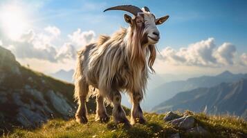 AI generated goat high quality image photo