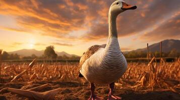 AI generated goose high quality image photo