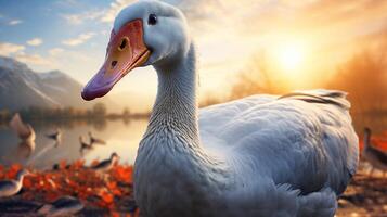 AI generated goose high quality image photo