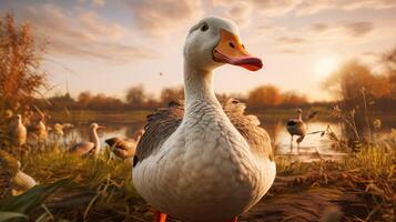 AI generated goose high quality image photo