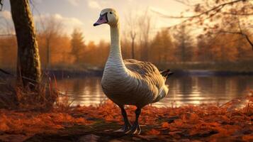 AI generated goose high quality image photo