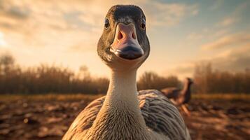 AI generated goose high quality image photo