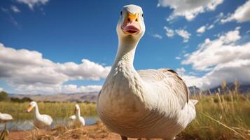 AI generated goose high quality image photo