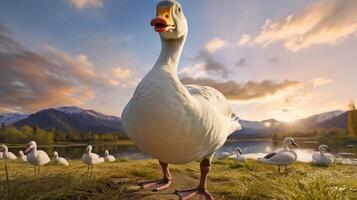 AI generated goose high quality image photo