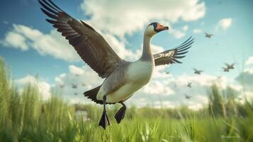 AI generated goose high quality image photo