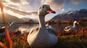 AI generated goose high quality image photo