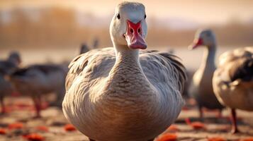 AI generated goose high quality image photo