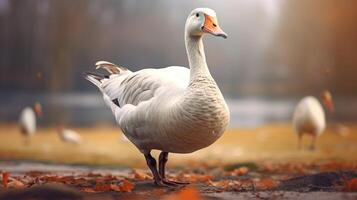 AI generated goose high quality image photo