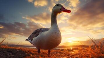 AI generated goose high quality image photo