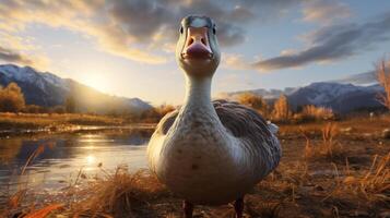 AI generated goose high quality image photo