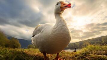 AI generated goose high quality image photo
