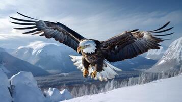 AI generated eagle high quality image photo