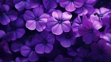 AI generated Violet background photo