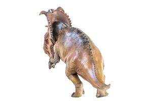 Pachyrhinosaurus dinosaur on isolated background photo