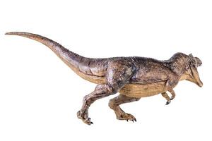 Trex Tyrannosaurus dinosaur on isolated background photo