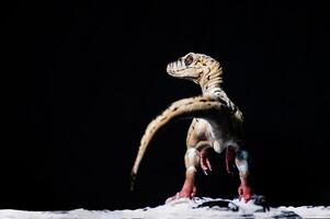 Velociraptor dinosaur  in the dark photo