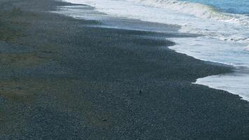 transparent Wellen mit Schaum. abstrakt nautisch Sommer- Meer Natur Hintergrund. echt Zeit. video