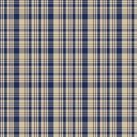 Seamless pattern of plaid. check fabric texture. striped textile print.Checkered gingham fabric seamless pattern. Vector seamless pattern.