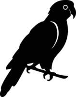 Africangrayparrot black silhouette vector