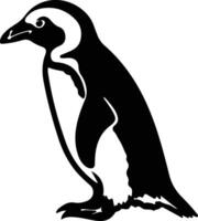 pingüino africano negro silueta vector