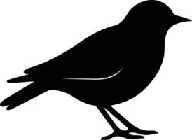 AmericanRobin black silhouette vector