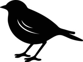 AmericanRobin black silhouette vector