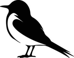 Arctictern black silhouette vector