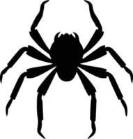 arachnid black silhouette vector