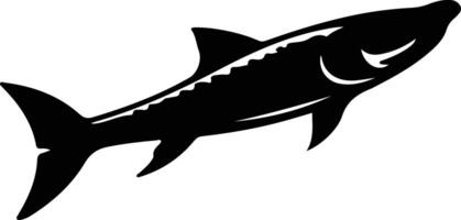 barracuda black silhouette vector