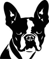 Boston terrier black silhouette vector