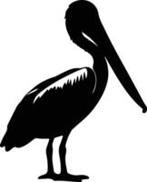 brown pelican black silhouette vector