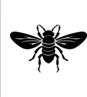 cicada black silhouette vector