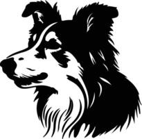 Collie black silhouette vector