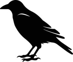 crow black silhouette vector