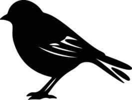 dark-eyed junco black silhouette vector