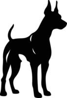 caballero pinscher silueta vector